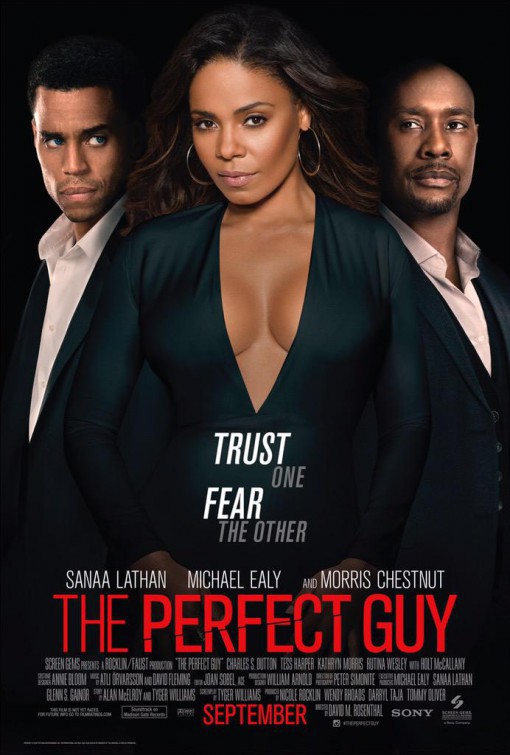 The Perfect Guy (2015/I)